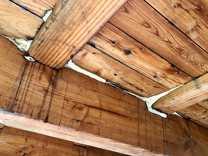 Rindenpilze am Belag einer Holzbrücke aufgrund mangelnden konstruktiven Holzschutzes
